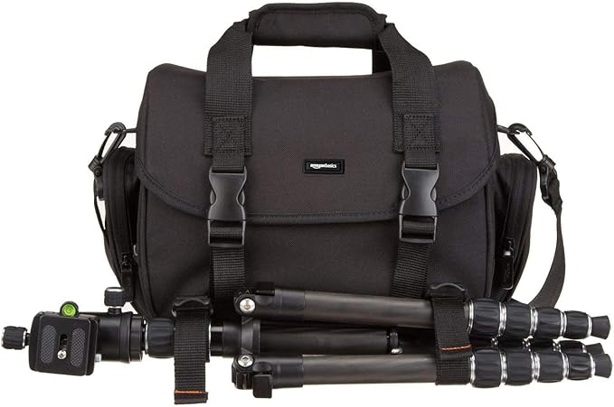 Amazon Basics Large DSLR Gadget Bag, Black with Grey Interior
