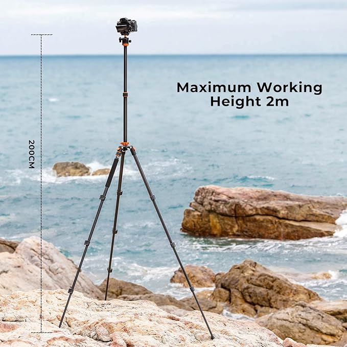 K&F CONCEPT 78 inch Camera Tripod for DSLR Compact Aluminum Tripod with 360 Degree Ball Head and 22lbs Load for Travel and Work K234A7+BH-28L (S210)