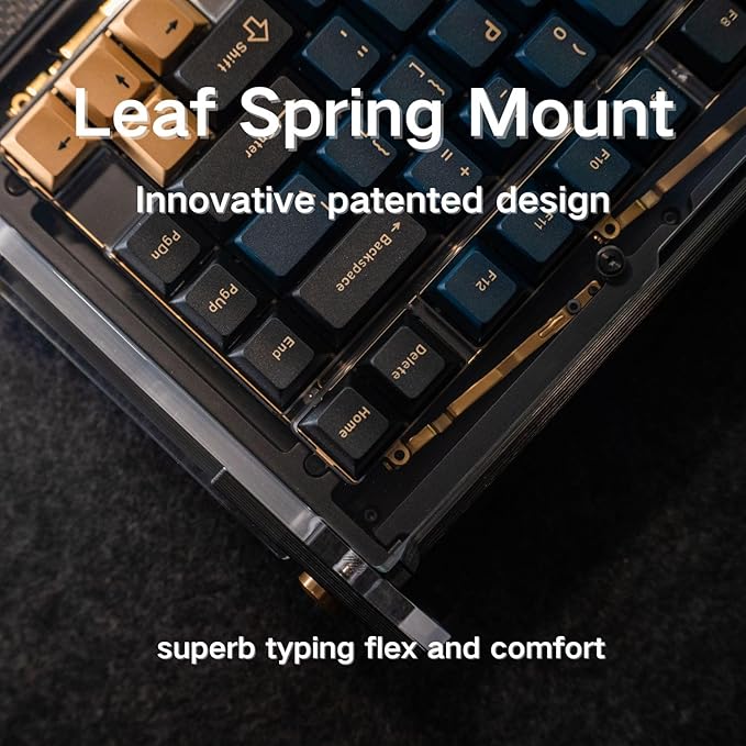 Black Diamond 75% v2 RGB Wireless Mechanical Gaming Keyboard, 2.4G 2ms Latency, Tri-Mode Connection, Leaf Spring Mount, Custom Internals, Hotswapable Switch