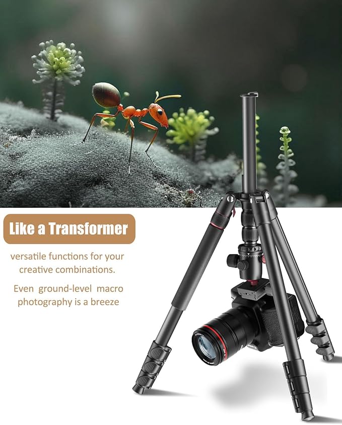 80"-Professional-DSLR-Camera-Tripod, SLR Ball Head Aluminum Photography Tri pod & Monopod with Carry Bag Compatible with Canon/Nikon/Binoculars/Telescope (Weight 3.6 Lbs, 33Lbs Load)
