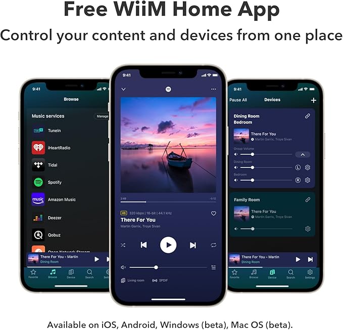 WiiM Pro Plus AirPlay 2 Receiver, Google Cast Audio, Multiroom Streamer with Premium AKM DAC, Voice Remote, Works with Alexa/Siri/Google, Stream Hi-Res Audio from Spotify, Amazon Music, Tidal and More