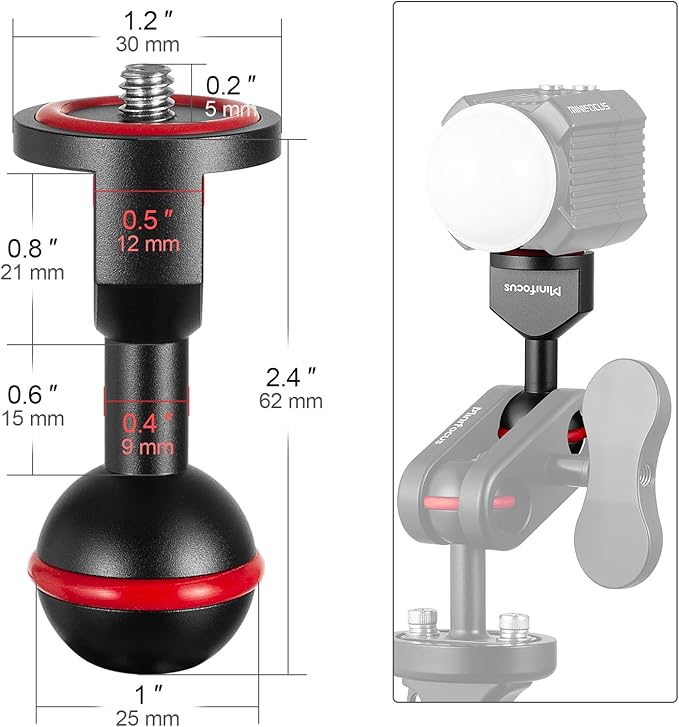 MINIFOCUS 2Pcs 1'' Ball Adapter to 1/4"-20 Screw, Universal Ball Joint Bracket with 1/4" Screw Base Adapter for Underwater Camera Arm Tray Diving Photography System