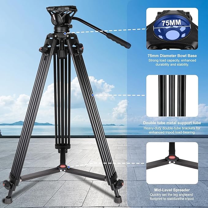 Video Tripod, COMAN 74" Professional Heavy Duty Camera Tripods with Quick Release Plate and 360° Fluid Head, Tall Travel Tripod Stand for DSLR, Camcorder, Aluminum Twin Tube Leg, Max Load:17.6lbs/8Kg