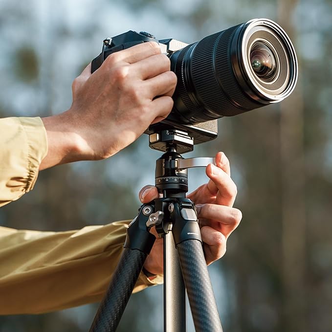 TreeRoot 61" Carbon Fiber Small Travel Tripod Kit C141K-301, 4-Section Round Tube Legs, Quick Lock Tripod with Ballhead-T00A4903