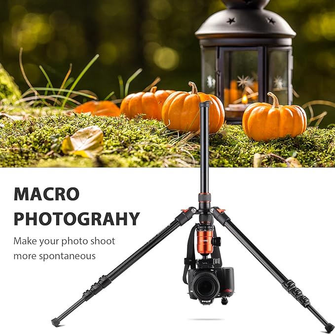 [Upgrade Version] GEEKOTO 77'' Aluminum Camera Stand & Monopod, Foldable Travel Gear with 360° Ball Head and Quick Release Plate for DSLR, Work, and Content Creation