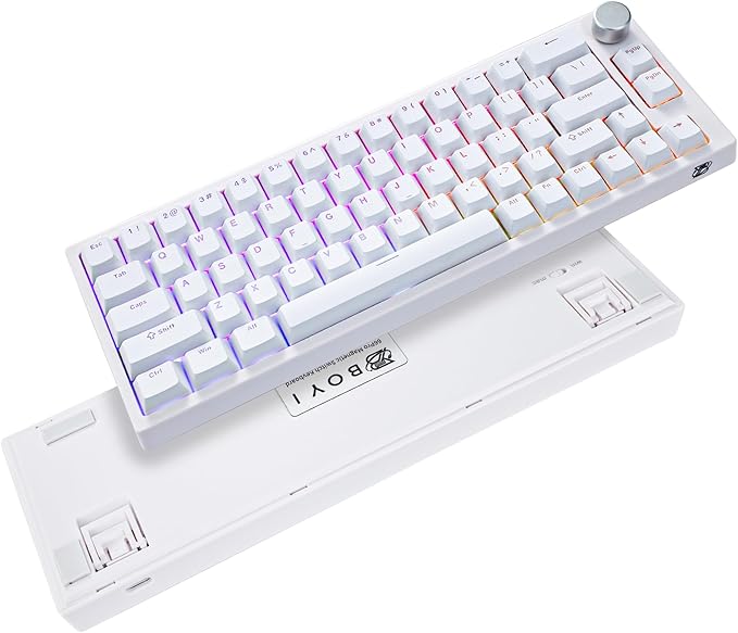 BOYI 66Pro Rapid Trigger Magnetic Switch 65% Mechanical Keyboard,Hall Effect Gasket-Mounted RGB HotSwap Hyper-Fast Adjustable Actuation Wired Compact Gaming Keyboard with Knob(White)