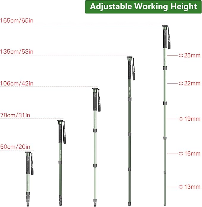 Manbily 65-Inch Camera Monopod, 5 Sections Aluminum Travel Monopod for Canon Nikon Sony DSLR Cameras Video Camcorder, Compact Portable Lightweight（E-222） (Green)