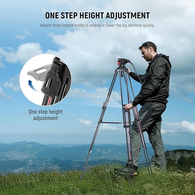 NEEWER 79"/2m Video Camera Tripod with Fluid Head, One Step Quick Release Aluminum Heavy Duty Tripod Stand with QR Plate Compatible with Canon Nikon Sony DSLR Camera Camcorder, Max Load 17.6lb, LL38