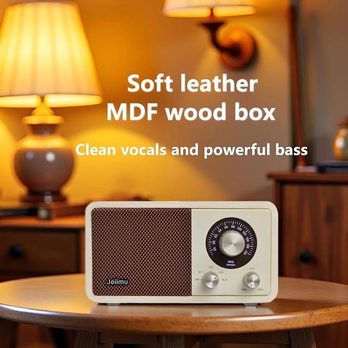 Portable FM Radio Bluetooth Speaker, 2600mAh Rechargeable, PU Leather, SD Card Support for Kitchen Living Room with Rotary Knob
