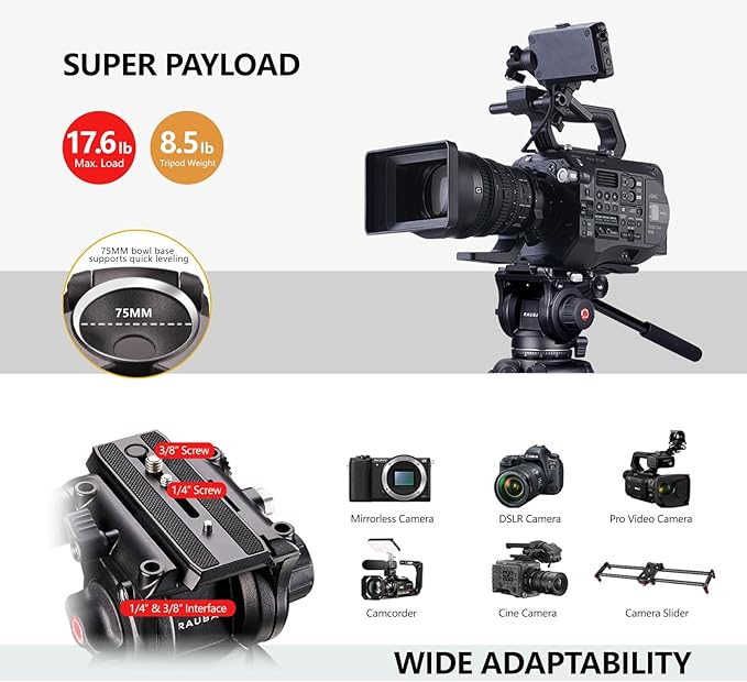 RAUBAY 69" Fluid Head Video Camera Tripod, Heavy Duty Camera Stands for Canon Nikon Sony DSLR, Camcorder, Digital Cine with Ground Spreader, Aluminium Twin Leg, QR Plate, Max Load 17.6lbs (DV-2)