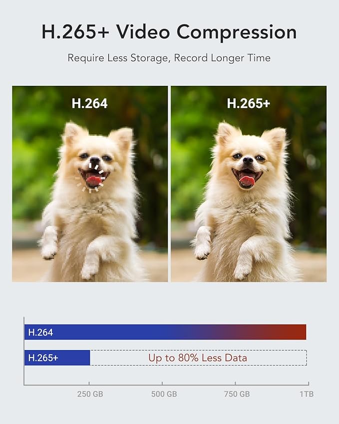 ANNKE 16 Channel Security Camera System HD-TVI 1080P Lite Video DVR and (12) 2.0MP Outdoor IP67 Cameras with Smart Dual Light, AI Human/Vehicle Detection, Color Night Vision, 2 TB Hard Drive