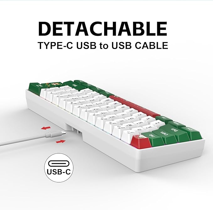 Snpurdiri 60% Wired Gaming Keyboard, RGB Backlit Small Ultra-Compact 61 Keys 60 Percent Gaming Keyboard for PC/Mac Gamer, Typist, Travel, Easy to Carry on Business Trip(Red Green White)