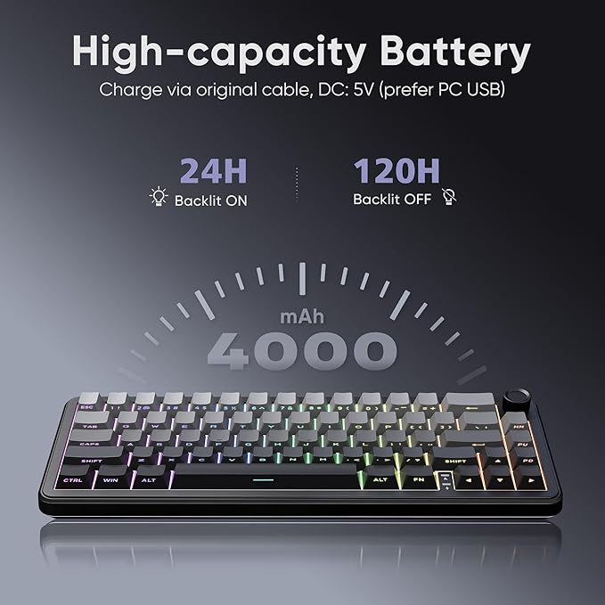 RedThunder K65 Wireless Mechanical Gaming Keyboard, Trip-Modes Connection, Gasket Custom Hot-Swap Keyboard, RGB Backlit, Pre-lubed Linear Switches, Side Printed PBT Keycaps, Gradient Gray