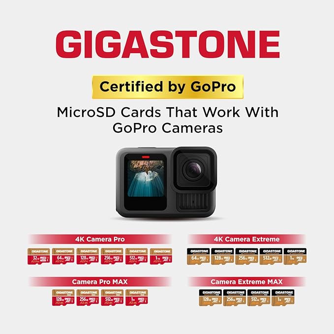 [5-Yrs Free Data Recovery] GIGASTONE 256GB Micro SD Card with USB 3.2 Type C Card Reader, 4K Camera Pro MAX, Speed Up to 130MB/s Compatible with Gopro, DJI, Dash Cam, MicroSDXC UHS-I A2 V30 U3