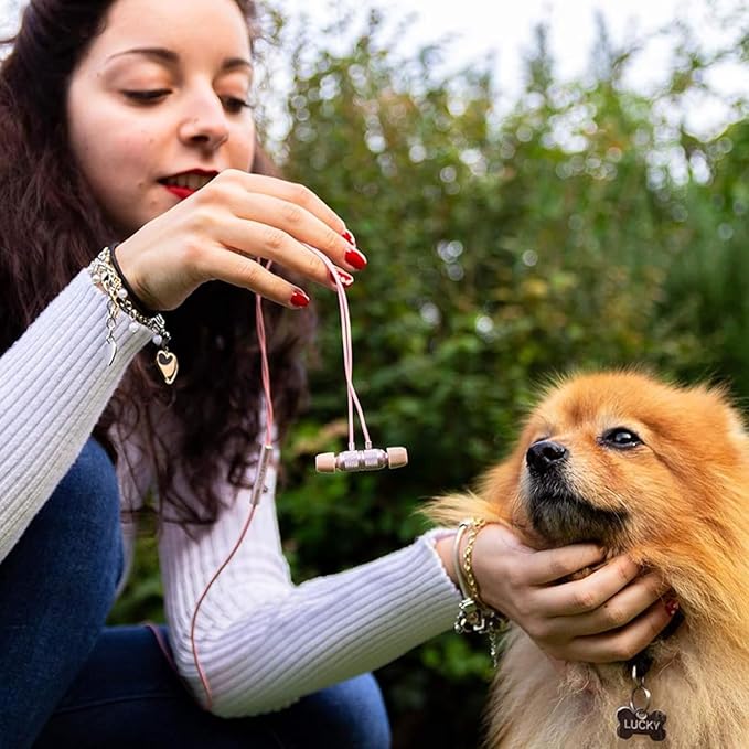 LUDOS Ultra USB C Headphones for iPhone 17 16 15 Pro Max Plus Air iPad Pro, 5 Years Warranty, Magnetic USB-C Earbuds for Samsung Galaxy S24 S23 Ultra S22 S21 FE S20 A55, USB Type C Earphones - Pink