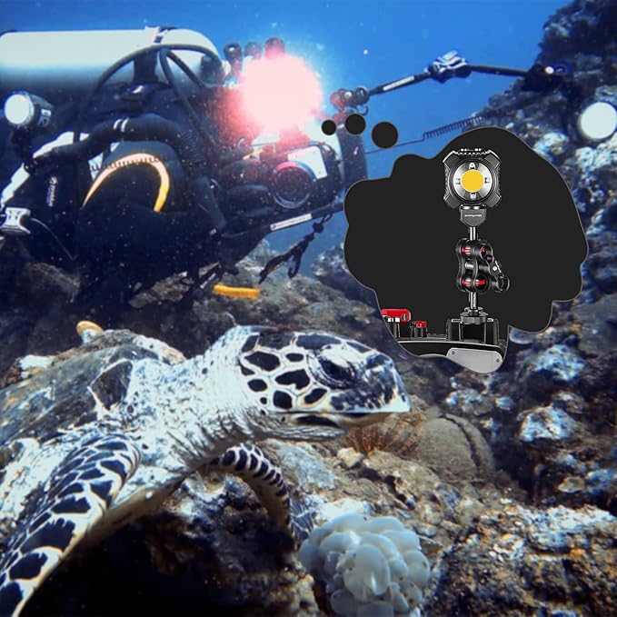 MINIFOCUS 1" Ball Head Cold Shoe Base Adapter, Universal Ball Joint Bracket with Cold Shoe Base Adapter for Diving Light Underwater Camera Waterproof Housings Case Video/Flash/Strobe Hot Shoes