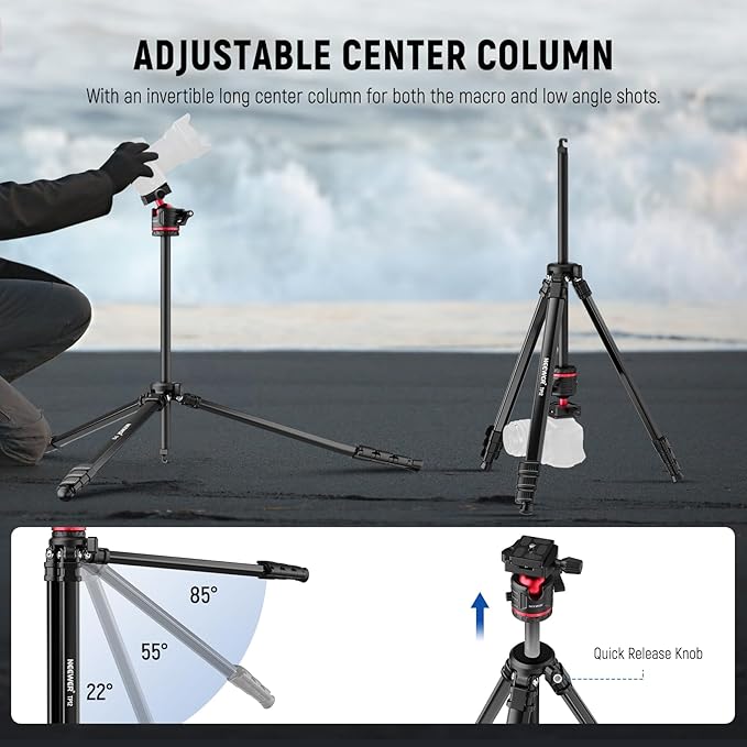 NEEWER Basics Travel Tripod for Camera, Compact Lightweight Portable DSLR Cam Stand with Ball Head, Arca Type QR Plate, Cell Phone Holder Compatible with iPhone Video Recording, Max Load 11 lbs, TP12