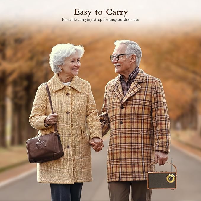 FREEFISH Portable Retro Speaker Bluetooth Radio Vintage Decor with FM Radio Rich Bass Bluetooth Speakers 5.3 Wireless Connection,TF Card, AUX for Home Office Bedroom