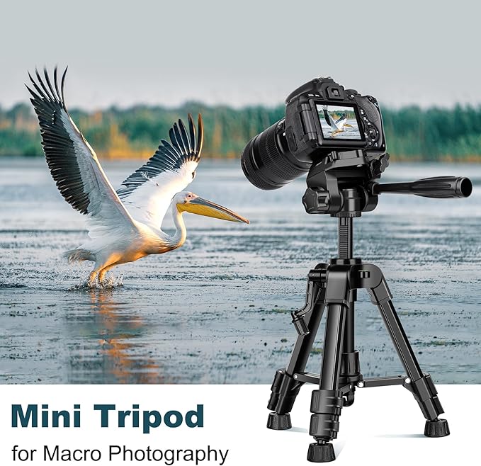 JOILCAN Mini Tripod for Camera, 25" Tabletop Camera Tripod, Portable Travel Tripod w/Phone & Tablet Holder, Lightweight Aluminum Tripods for DSLR Phone