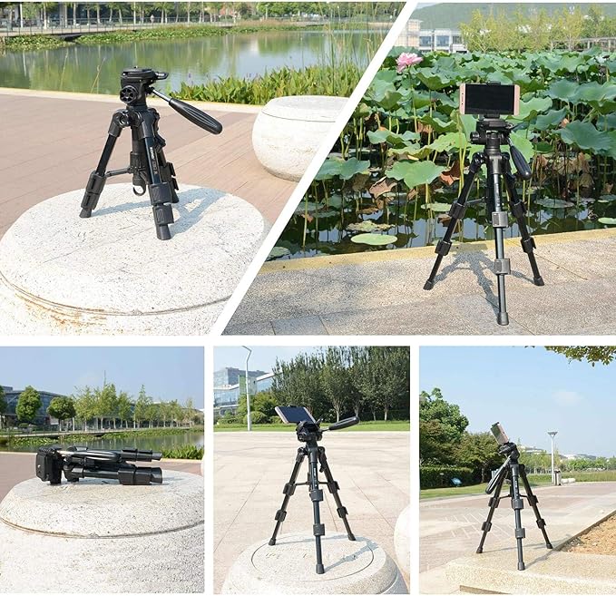 Mini Tripod for Camera,Zomei Travel Table Tripod with 3-Way Pan/Tilt Head 1/4 inches Quick Release Plate and Bag for DSLR Camera Tripod Carrying Bag