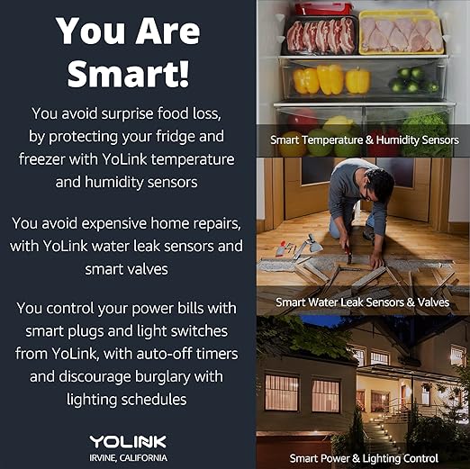 YoLink Smart Home Starter Kit: Smart Plugs with Energy Monitoring & Hub Kit, 2 Smart Outlet, Compatible with Alexa, Google, IFTTT, 1/4 Mile World's Longest Range