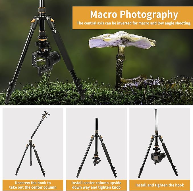 Tripod for Camera, 77" Camera Tripod Stand, 360 ° Ball Head Professional Aluminum DSLR Tripod & Monopod, Heavy Duty Travel Tripod Compatible with Canon Nikon Binoculars Laser Telescope(Gold)