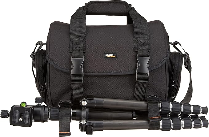 Amazon Basics Large DSLR Gadget Bag, Black with Orange Interior, Solid