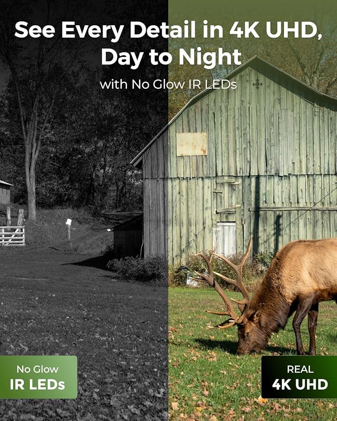 REOLINK 4K 3G/4G LTE 360° Cellular Trail Camera Outdoor 2-Hunting-Cam Bundle - Go Ranger PT Kit+Talon Pro Solar Kit, No-Glow IR, SIM Card Included, Smart Animal Detection, Waterproof for Wildlife