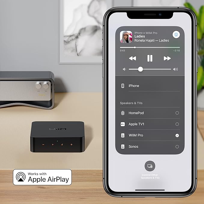 WiiM Pro AirPlay 2 Receiver, Google Cast Audio, WiFi Multiroom Streamer, Compatible with Alexa, Siri and Google Assistant, Stream Hi-Res Audio from Spotify, Amazon Music, Tidal and More