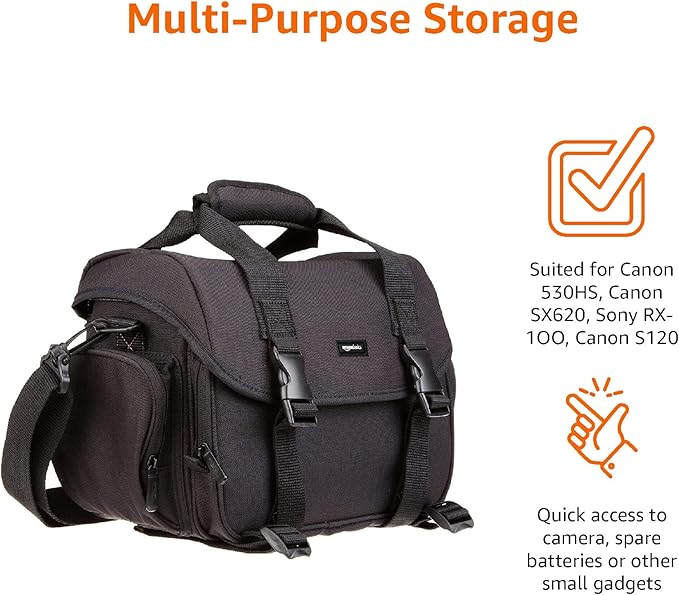 Amazon Basics Large DSLR Gadget Bag, Black with Grey Interior