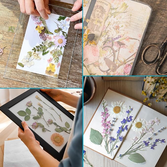 T&W SAME FILM 60 Pack Self Adhesive Laminating Sheets, 4mil, 8 x 11 Inch Laminator Sheets, Self Sealing Laminating Sheets for Laminator, Round Corner, No Heat, No Machine Needed