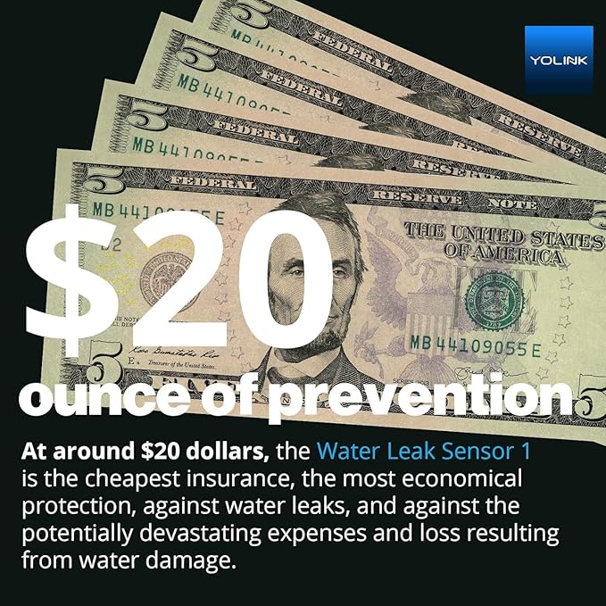 YoLink Water Leak Starter Kit: Hub + 6 Leak Sensor 4 (105 dB Siren), LoRa Long-Range, App/SMS/Email Alerts, D2D Offline, 2 AAA Up to 5-Year Battery, Works with Alexa/IFTTT/Home Assistant