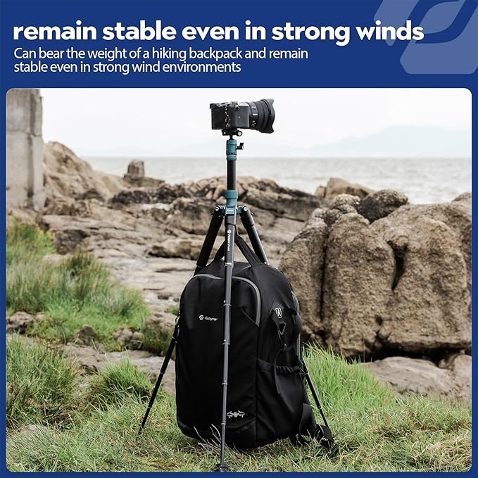 Fotopro Mini Tripod with Ball Head Phone Mount Detachable Selfie Stick Folded only 8.6" Max Load up to 6.6 lbs FY-810 Blue