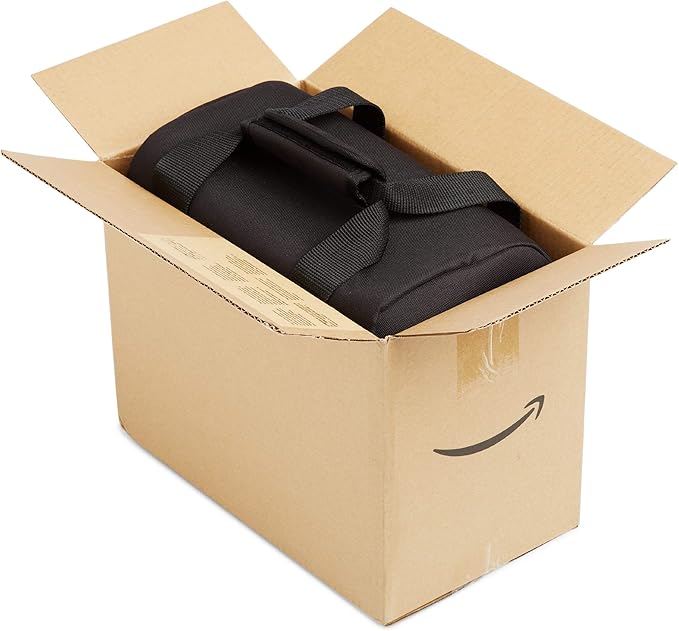 Amazon Basics Large DSLR Gadget Bag, Black with Grey Interior