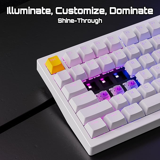 P1 HE 75% Wireless Custom Mechanical Gaming Keyboard with Gateron Double-Rail Magnetic Switches Knob Version, QMK 2.4 GHz Bluetooth 5.2 RGB Backlight Compatible with Mac Windows Linux-White