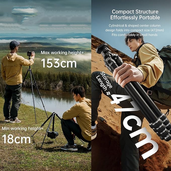 FALCAM TreeRoot Lite F38 Quick Lock Carbon Fiber Travel Tripod with Ball Head Load Capacity 3kg/6.6lbs, Max Vertical Payload 40Kg/88lbs for Cameras (C141K-301)