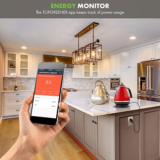 TOPGREENER Smart Wi-Fi Outlet with Energy Monitoring, Tamper-Resistant, Control Lighting and Appliances from Anywhere, in-Wall, No Hub Required, Compatible with Alexa and Google Assistant, Nickel