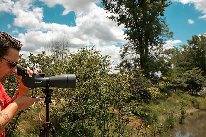 Vanguard VEO 5 234CO26 Full-Size Carbon Fiber Tripod with VEO PH-26 2-Way Pan Head