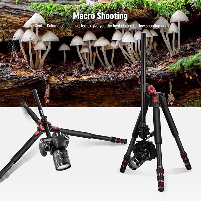 NEEWER 73.6" Horizontal Tripod with Multi Angle Center Column, Ball Head & Central Axis Platform, Heavy Duty Aluminum Camera Tripod Monopod 360° Pan 180° Tilt for Overhead/Macro Shots, Max Load 22lb