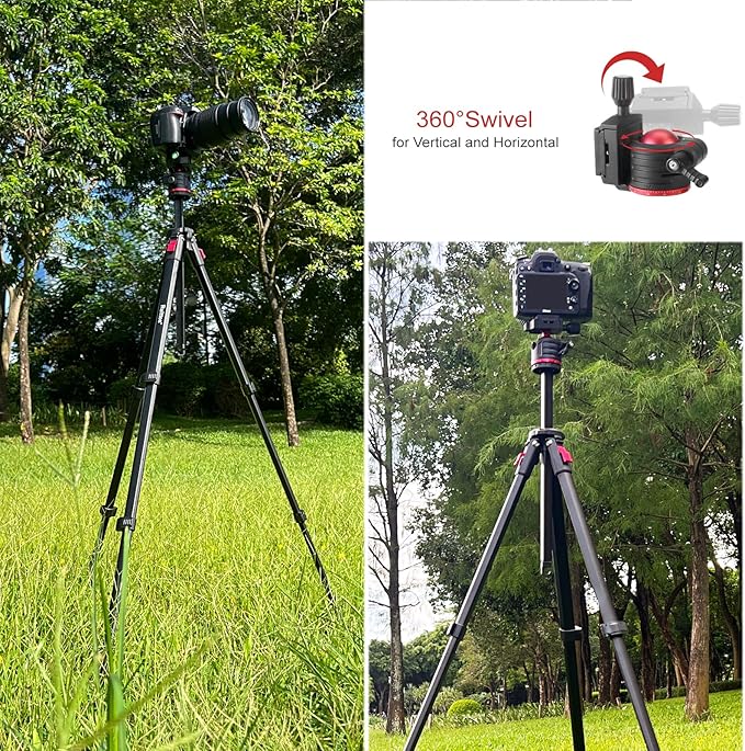 Travel Tripod, 68" Camera Tripod with 360° Ball Head Lightweight Aluminum Portable for DSLR/SLR Cameras, Video Camcorders, Action Cameras, Phones, Telescopes...8.8lbs (TM66-LB36)