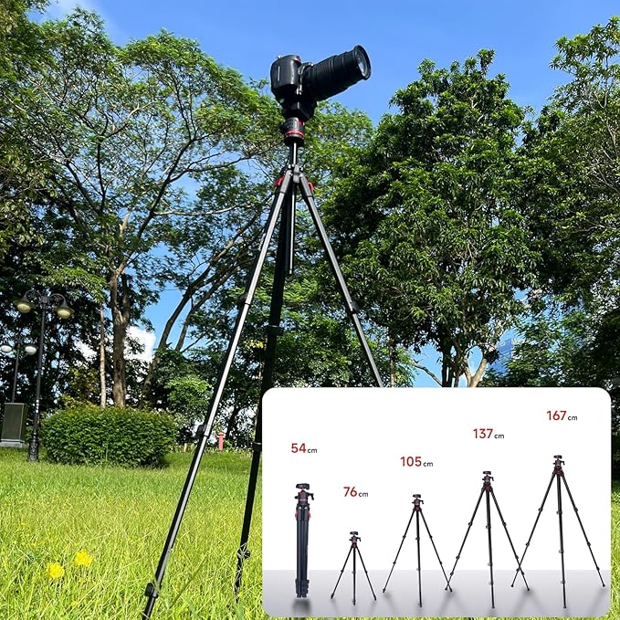 Travel Tripod, 68" Camera Tripod with 360° Ball Head Lightweight Aluminum Portable for DSLR/SLR Cameras, Video Camcorders, Action Cameras, Phones, Telescopes...8.8lbs (TM66-LB36)