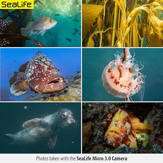 SeaLife Micro 3.0 Pro Duo 5000 Set Underwater Camera & Dual Light Set for Photography and Video, Easy Set-up, Wireless Transfer, Includes Travel case