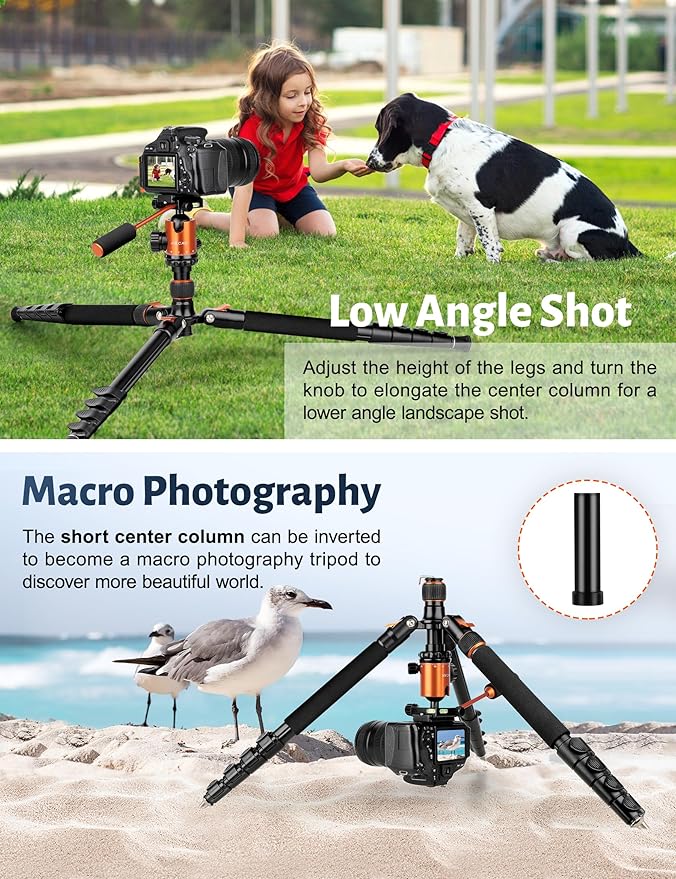 Camera Tripod, 83" Heavy Duty Aluminum Tripod for DSLR/Camera/Smartphone - with Handle, Converts to Monopod, Holds 35lbs