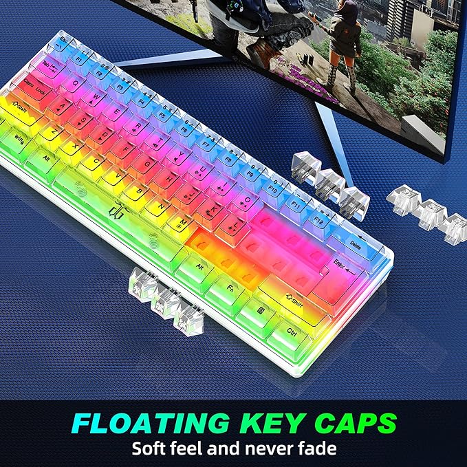 Snpurdiri 60% Wired Gaming Keyboard, RGB Backlit Ultra-Compact Mini Keyboard, Waterproof Small Compact Transparent Keycaps for PC/Mac Gamer(White Transparent)