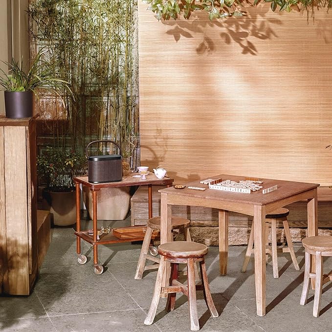 Bang & Olufsen Beosound A5 - Portable Bluetooth Speaker with Wi-Fi Connection, Carry-Strap, Dark Oak